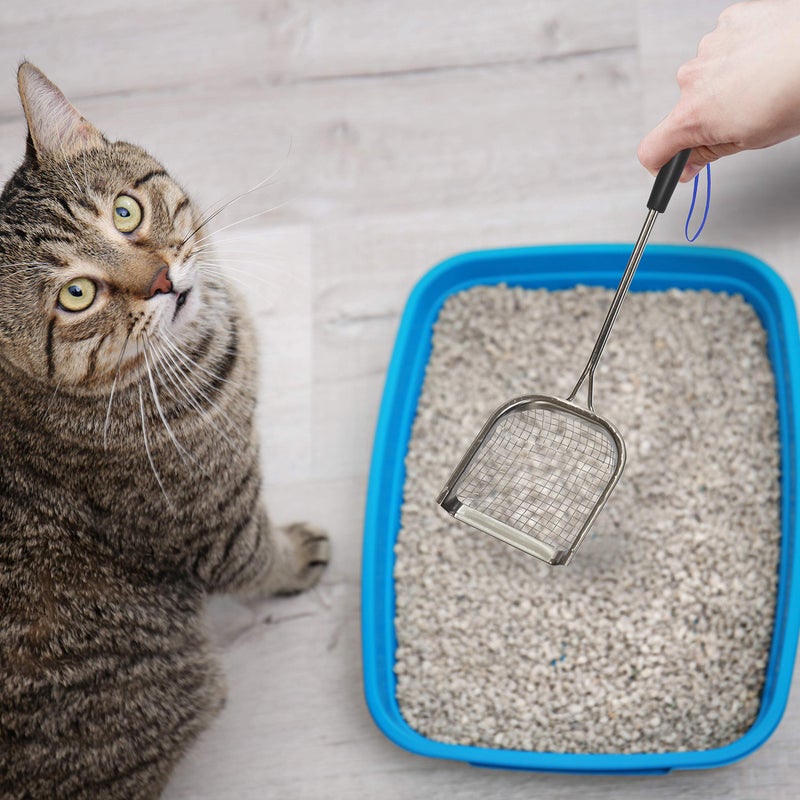 Sand Dipper Metal Cat Litter Scoop â€“ Long Handle Cat Poop Scooper for Litter Box (15â€), Heavy-Duty Stainless Steel Kitty Litter Scoop (Scoop) - Image 5
